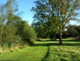 /album/my-local-birding-gallery/thornhill-rectory-will-provide-us-with-a-great-variety-of-trees-for-our-latest-nesting-box-project-jpg/